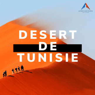 Circuit Sud Tunisie